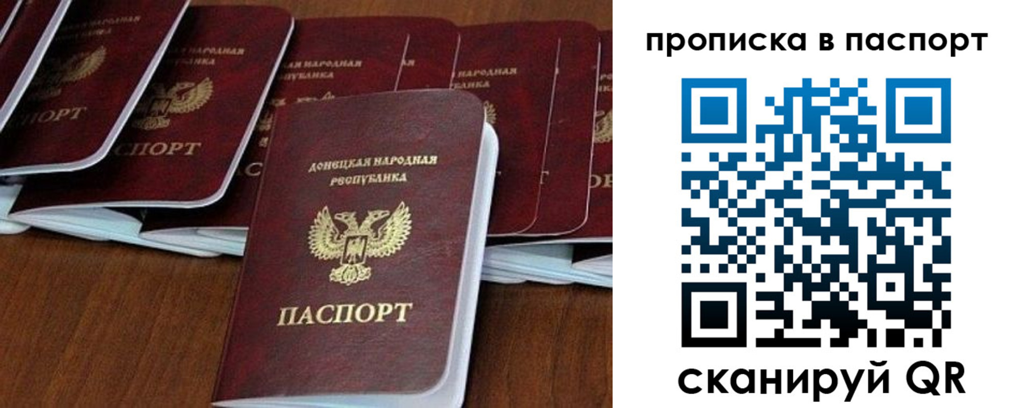 прописка поиск в Ярославле